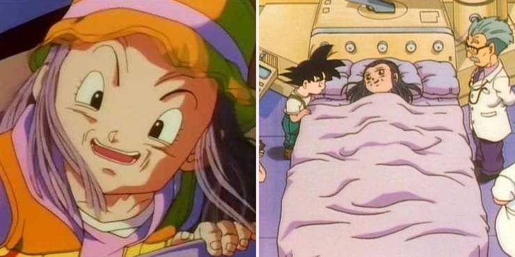 Dragon Ball 16 Crazy Things That You Didn’t Know About Pan Dragon Ball 16 Crazy Things That You Didn’t Know About Pan
